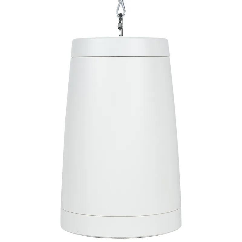 Super Prezzo Dayton Audio WP40XTW 4" Compact Pendant Speaker 8 ohm White