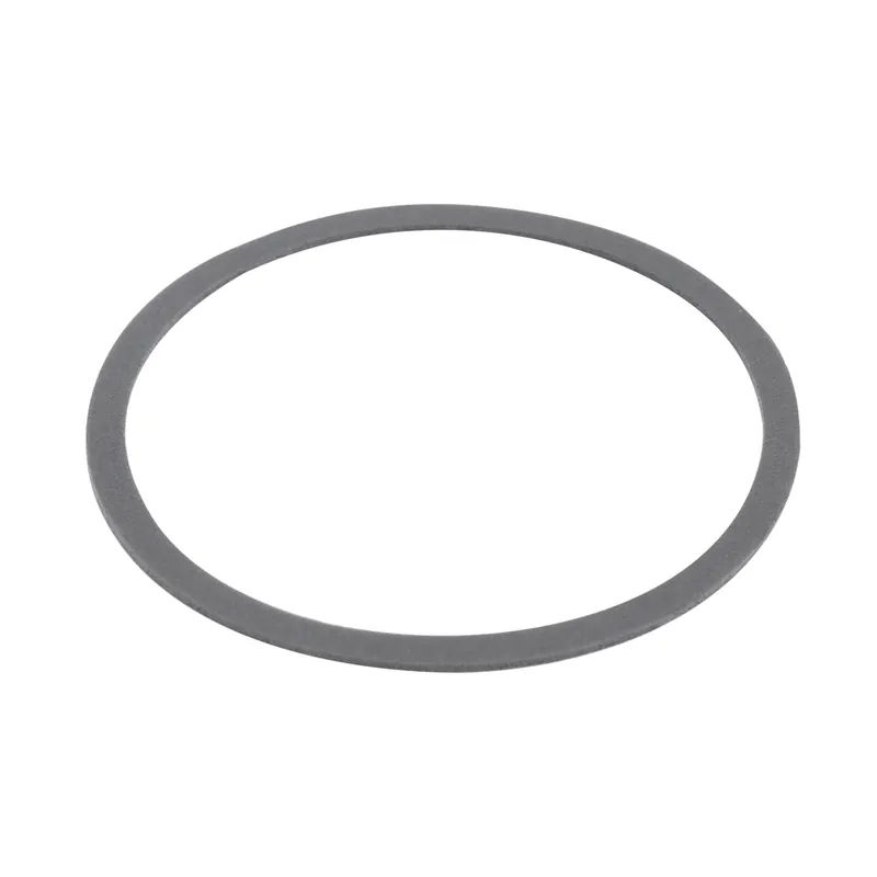 Promozione Scan-Speak gasket P13