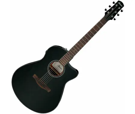 Must-Have Ibanez AAM340CE-RUB Rustic Black