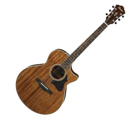 Compra Online Ibanez AE245-NT Natural