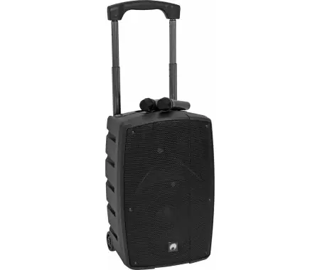 Miglior Prezzo Omnitronic WAMS-12BT2 Sistema PA Wireless