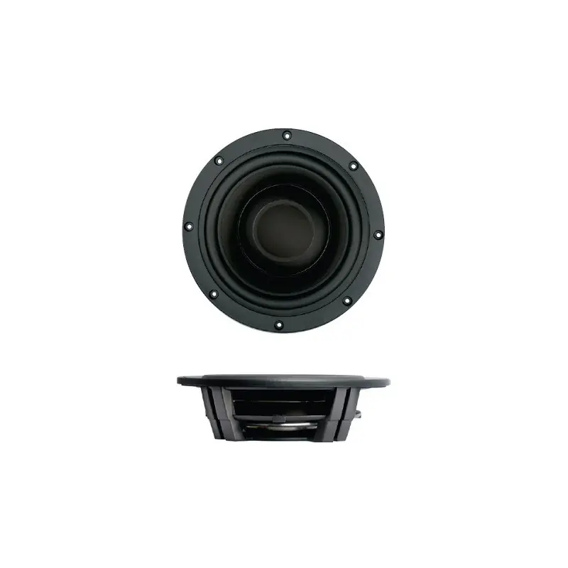 Spedizione Espresso SW26DBAC-00 - 10" Passive Radiator SB Acoustics, Black Alu Cone