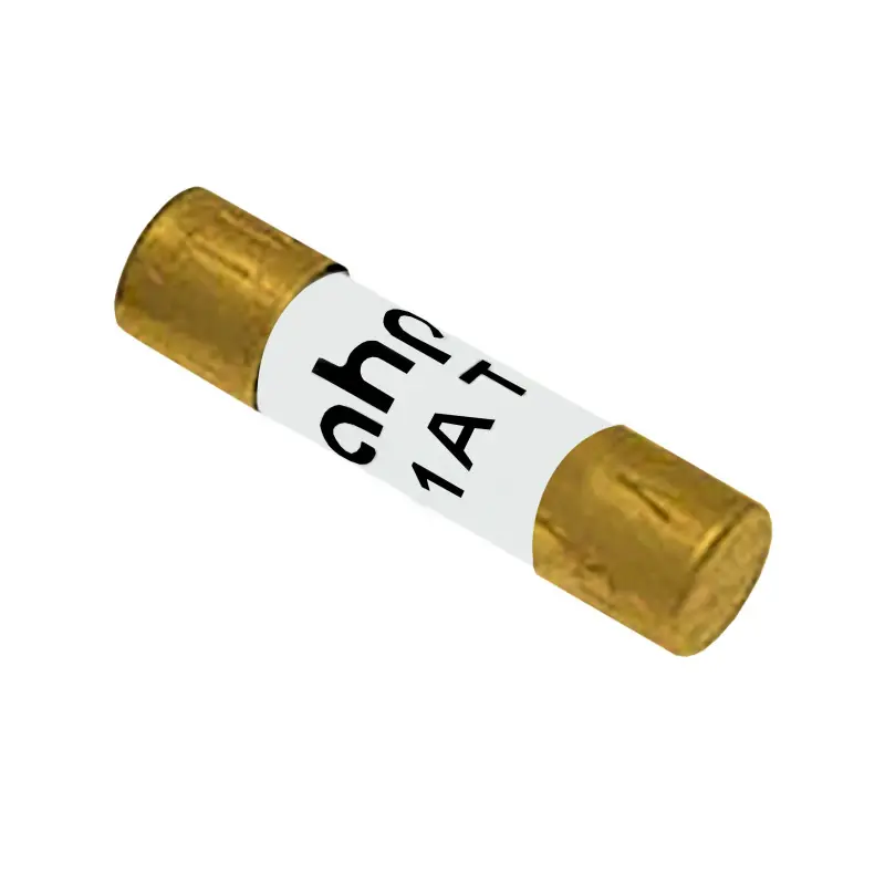 AHPG5X20-01.60 - Fusibile AHP Oro - 5x20mm - 1.6A 250V Professionale