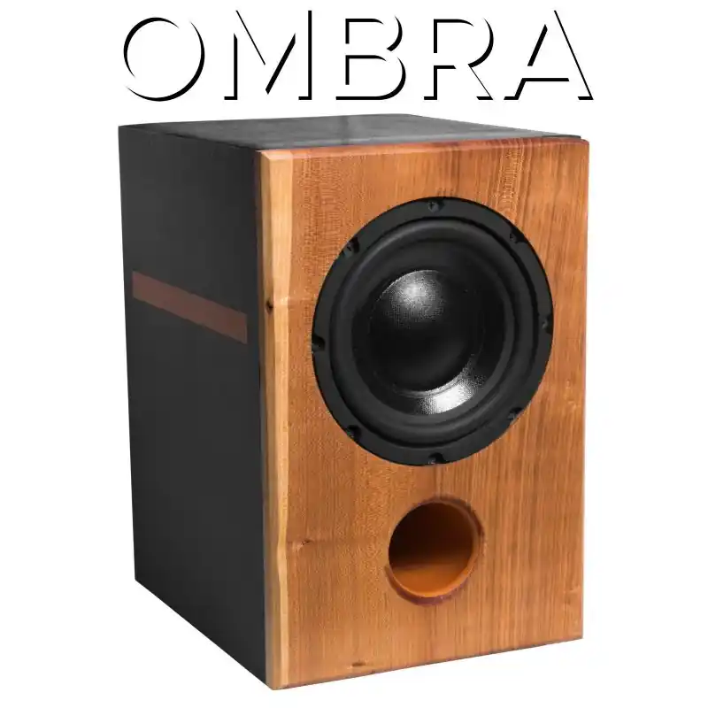 Miglior Prezzo KIT OMBRA - Kit subwoofer "Ombra" by Mike Borghese Audio