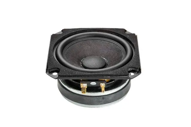 Compra Adesso Ciare PA100 extended range 100mm, impedenza 8 Ohm e potenza 80 W