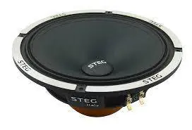 STEG N7 COPPIA ALTOPARLANTE MIDRANGE 165mm NEODIMIO 100w RMS Novità