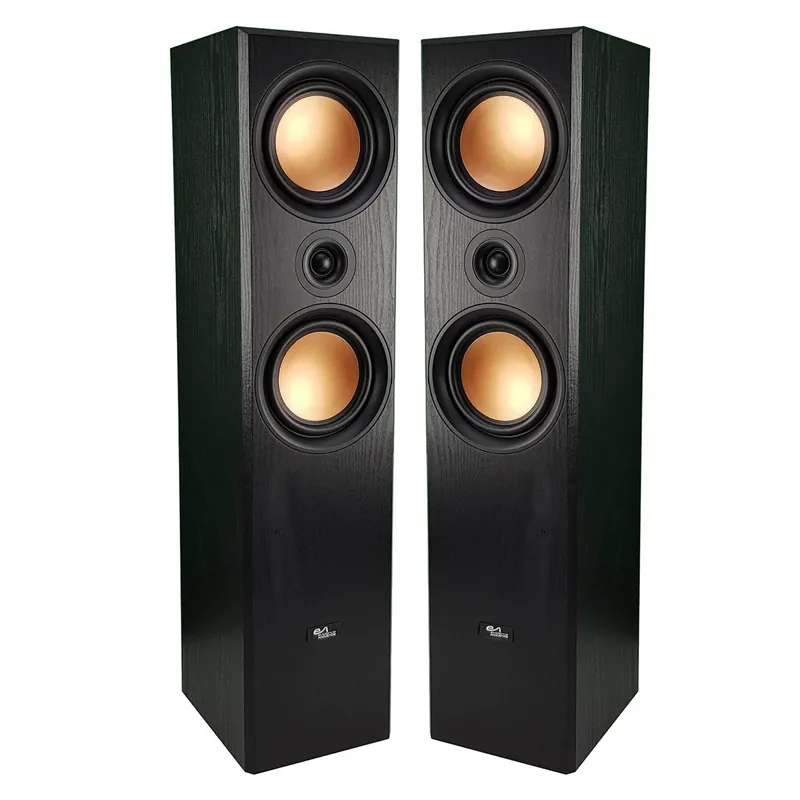 EA EA 800PG Coppia diffusori HiFi Occasione Imperdibile