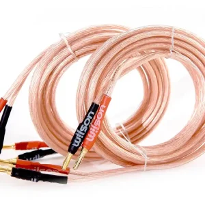 Wilson SP-4.0MM Cavo per altoparlanti 2x4mm (3m) - spine a banana Spedizione Espresso